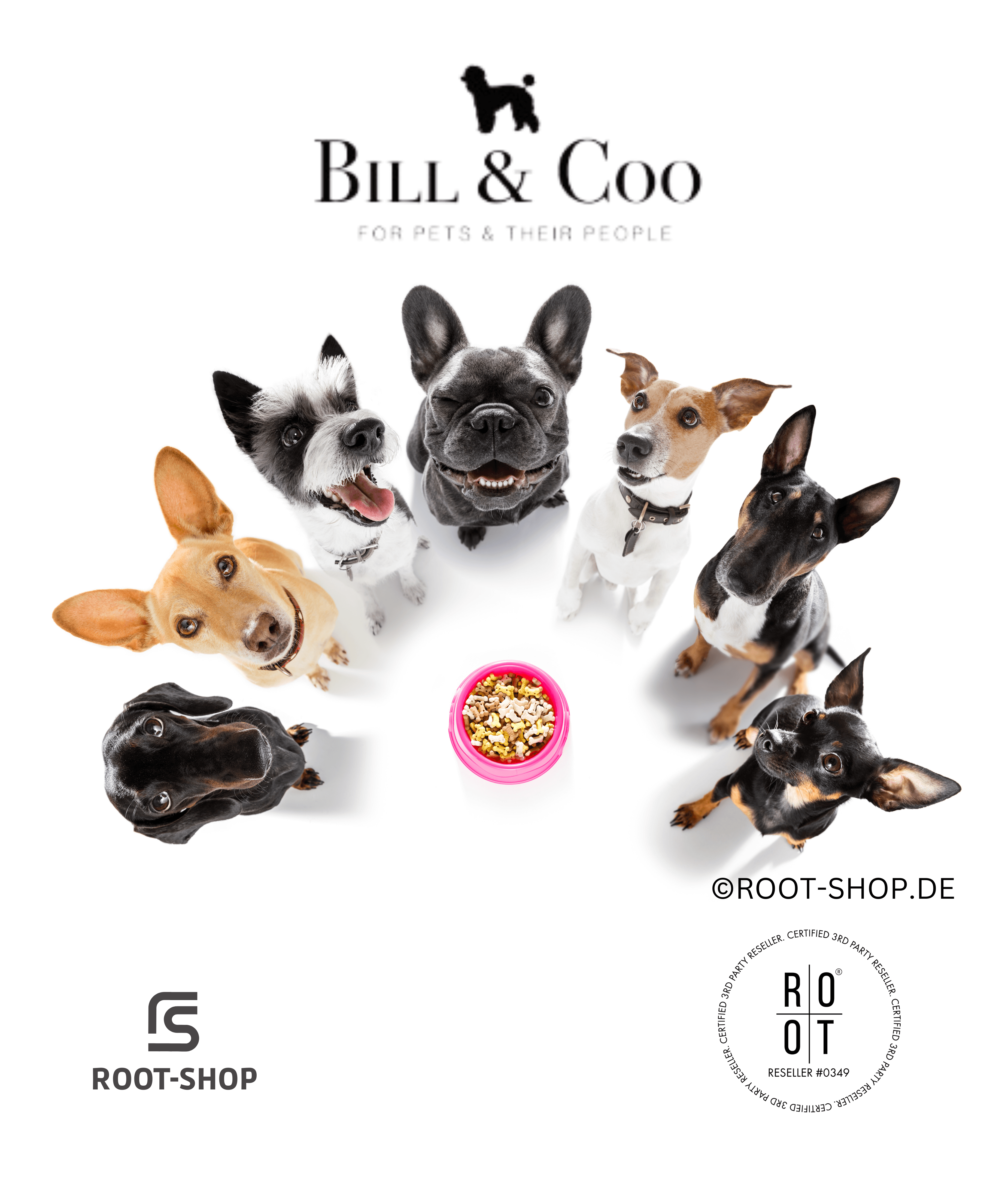 BILL & COO Coato - ROOT-SHOP