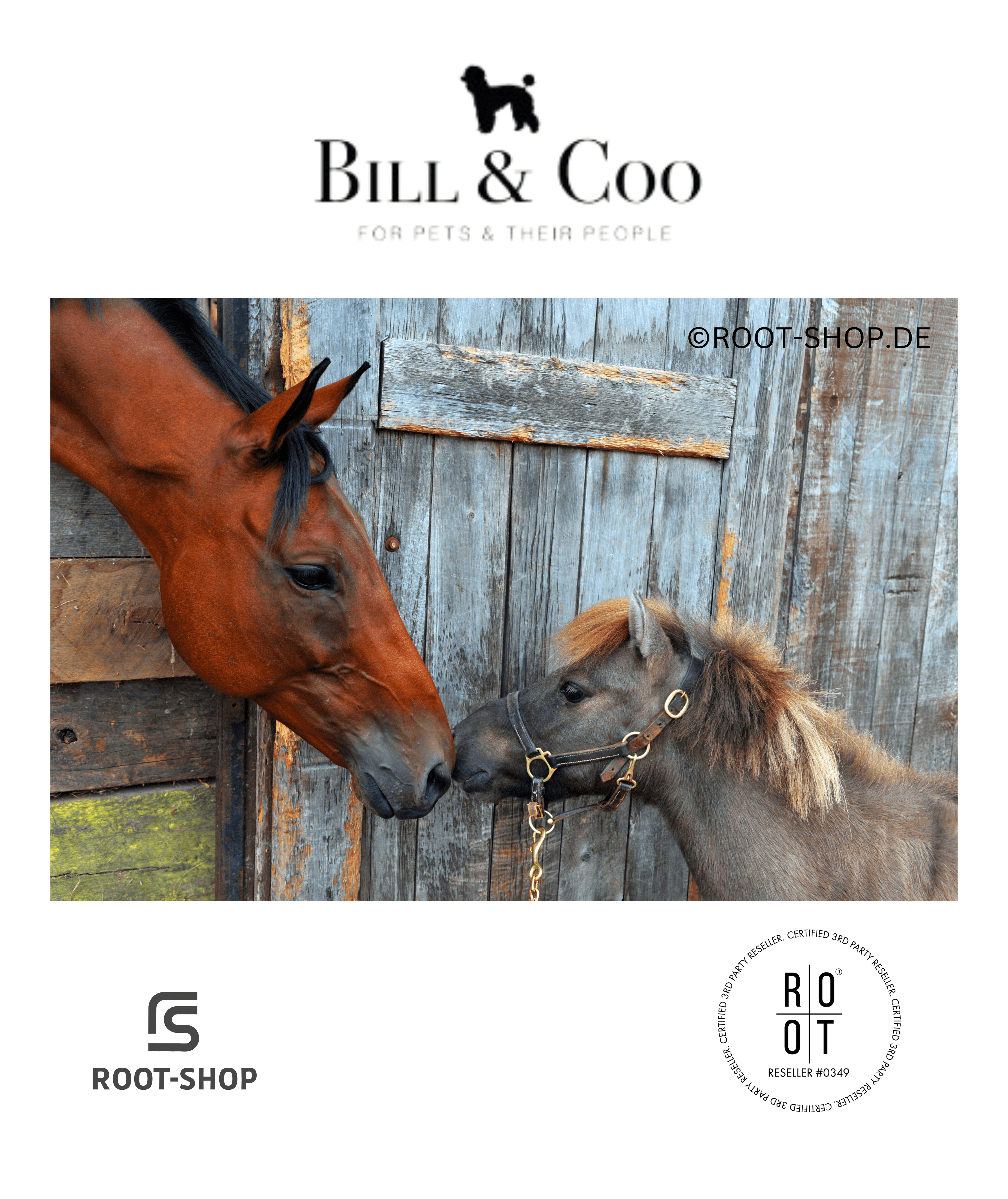 BILL & COO Pure Clean Pet - ROOT-SHOP